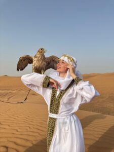 falcon-photography-sunset-1