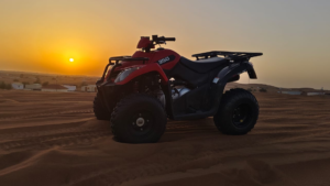 Private Evening Desert Safari (Standard)